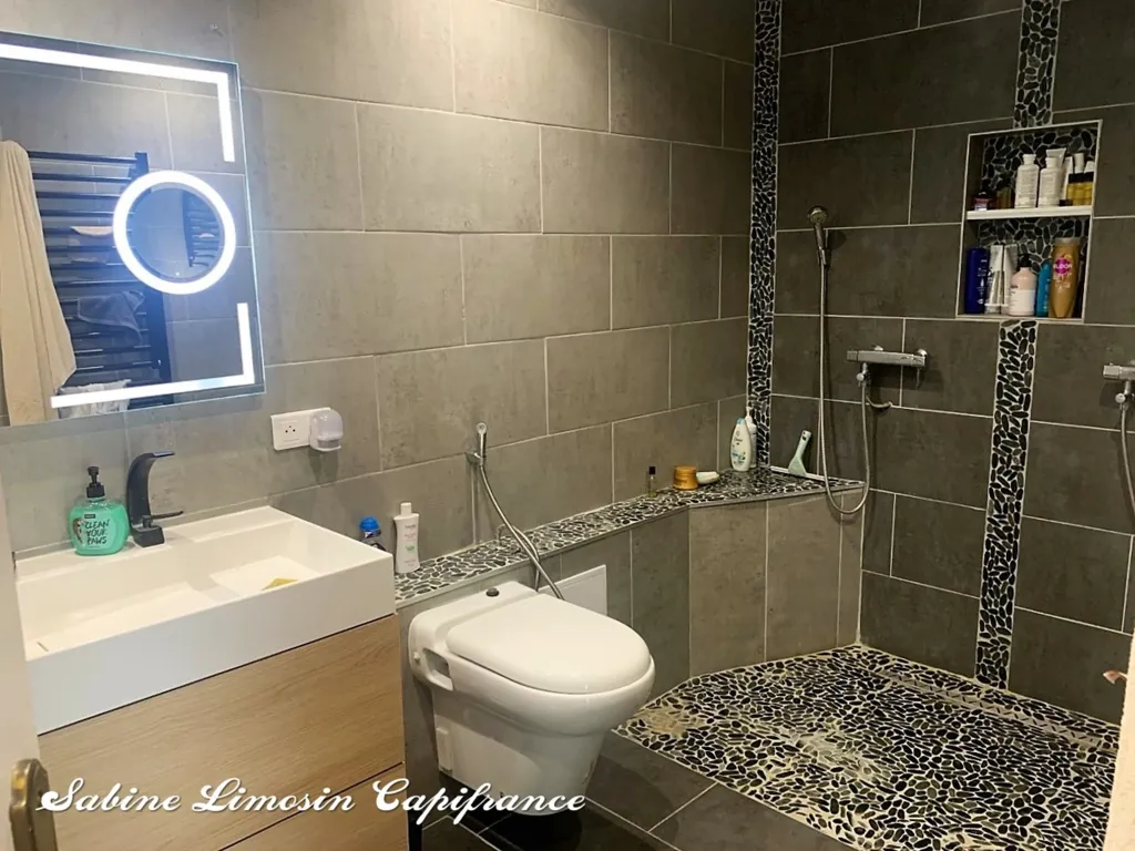 Salles de bain - Maison de 8 Pièces avec Terrasses à Vieux Charmont