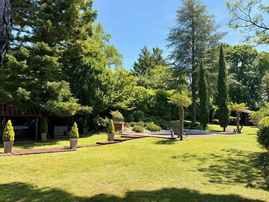 Jardin - Maison Contemporaine avec Piscine et Jardin à Proximité des Écoles