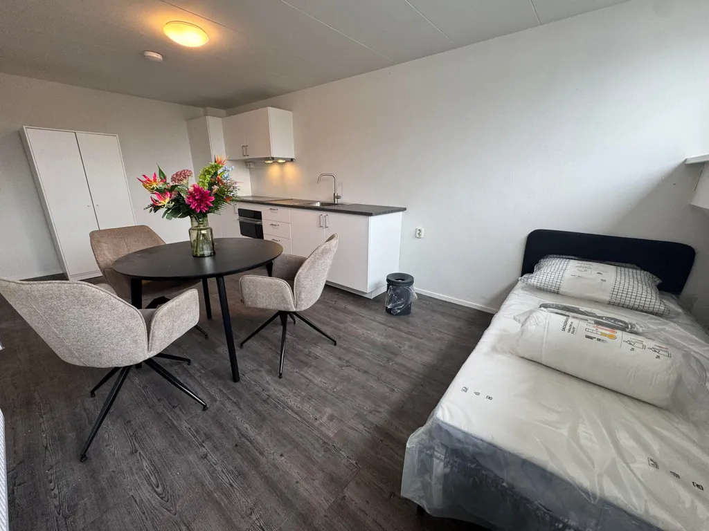 Magamistoad - Studio Flat with Modern Kitchen in Sittard Centre