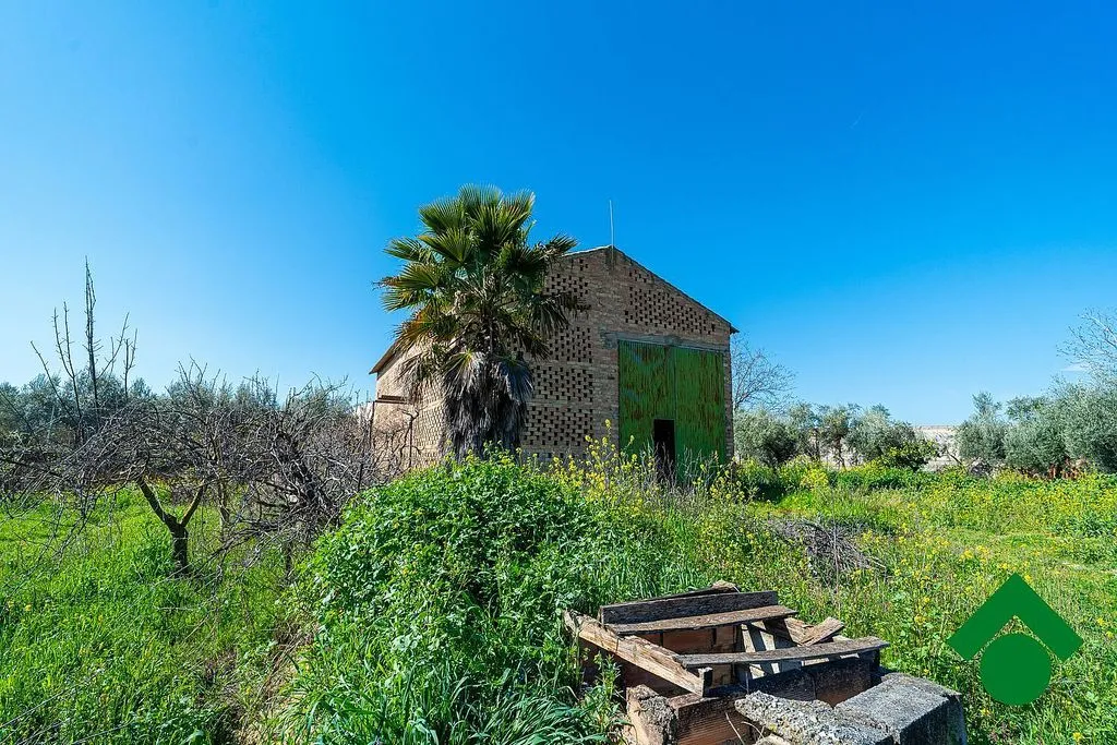 Esterno - Rustic Farmhouse with Terrace in Chauchina