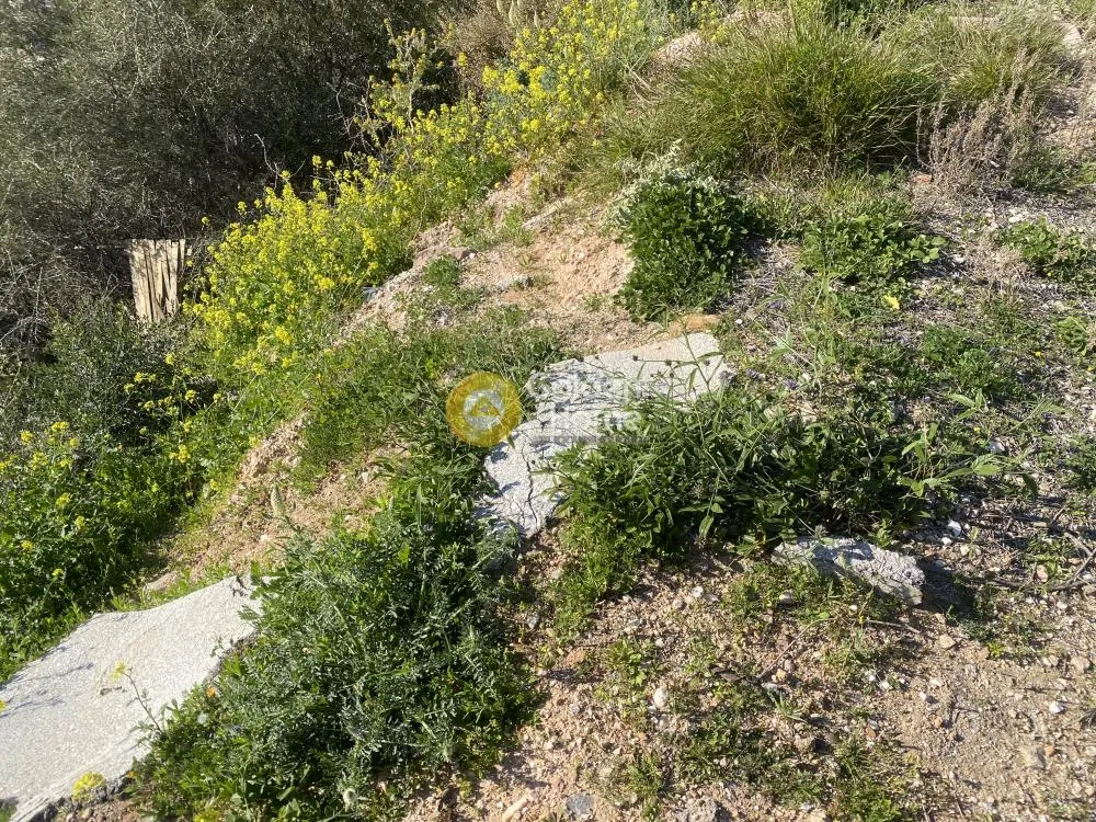 Terrain à GR