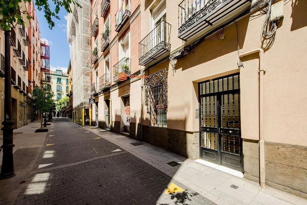 Extérieur - Luxury Apartment with Rustic Elegance in Madrid