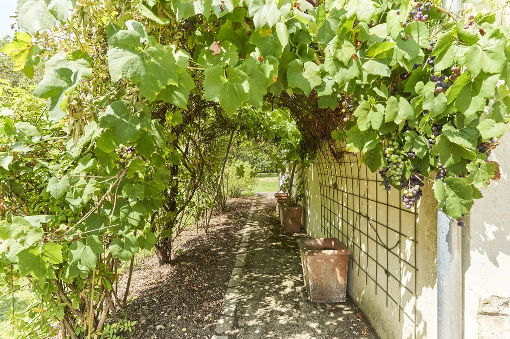 Jardin - Maison Ancienne avec Jardin à Biwer