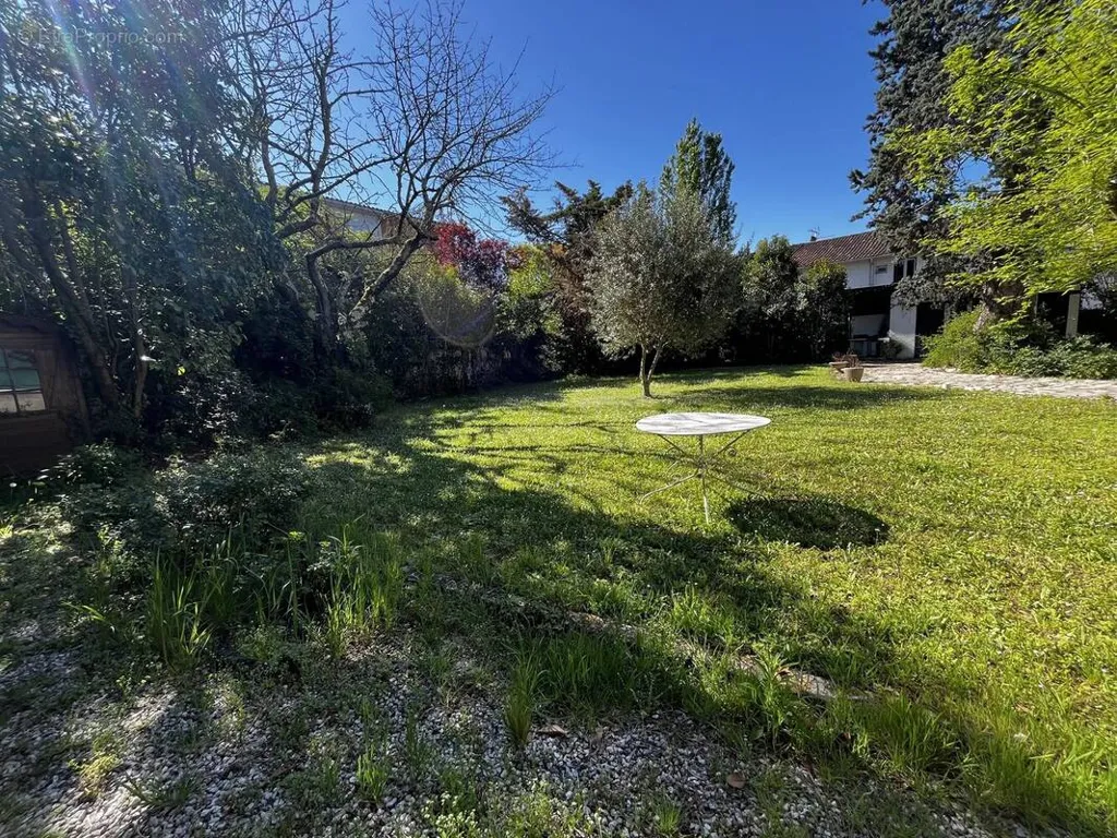 Garden - Buildable Plot in Central Cugnaux