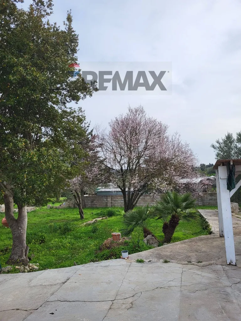 Jardin - Independent House with Character in Sennori