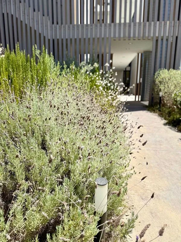 Jardin - Apartment with Pool and Terrace in Santa Eulària des Riu