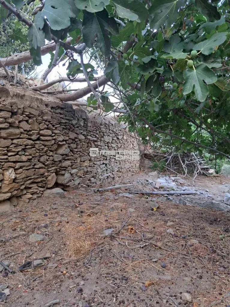 Giardino - Buildable Plot with Open Views in Andros