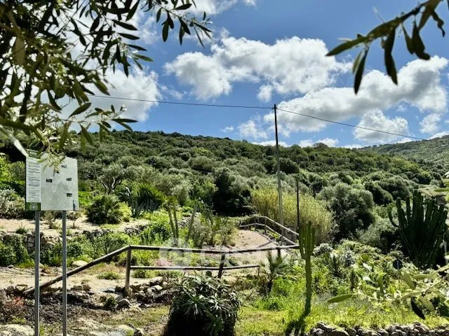 Aed - Rustic Farmhouse with Private Garden in Modolo