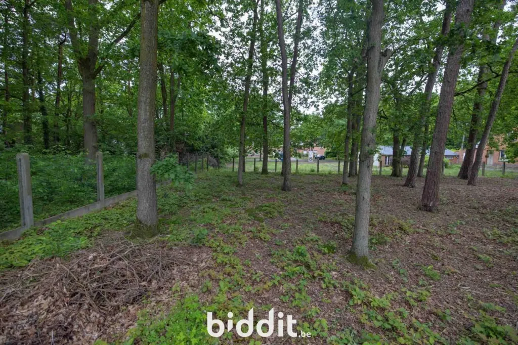 Jardin - Terrains à Bâtir Semi-Ouverts à Bouwel