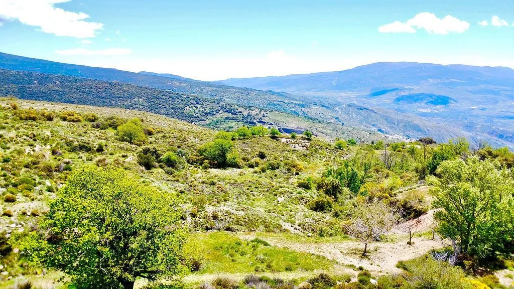 Aed - Rustic Finca with Water Source in Sierra de Júbar