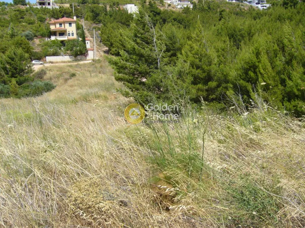 Giardino - Corner Plot with Sea View in Dioni