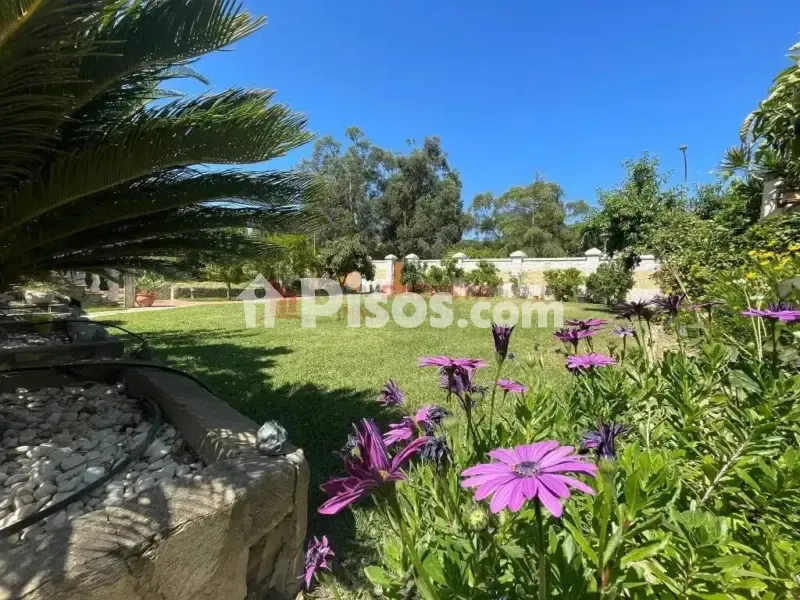 Garden - Chalet with Garden in Isla Cristina