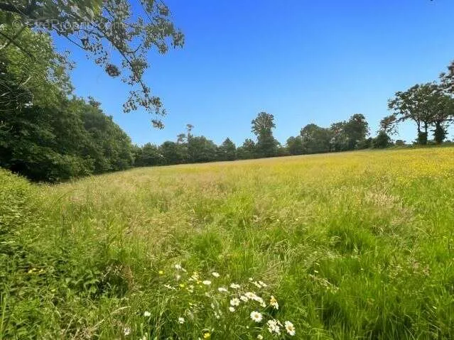 Jardin - Longère avec Piscine dans un Parc de 1,2 Hectare à Martigné-Ferchaud