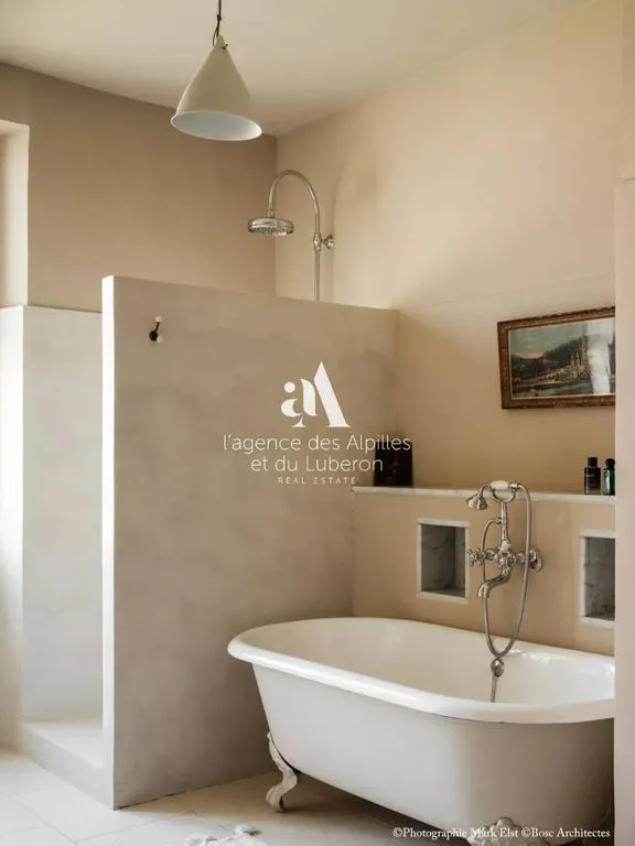 Vannitoad - Luxury Farmhouse with Pool in Eyragues