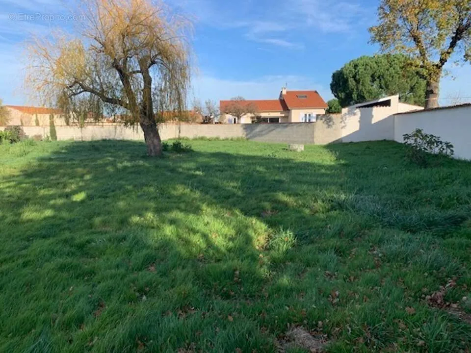 Terrain à Saint-Romain-Le-Puy