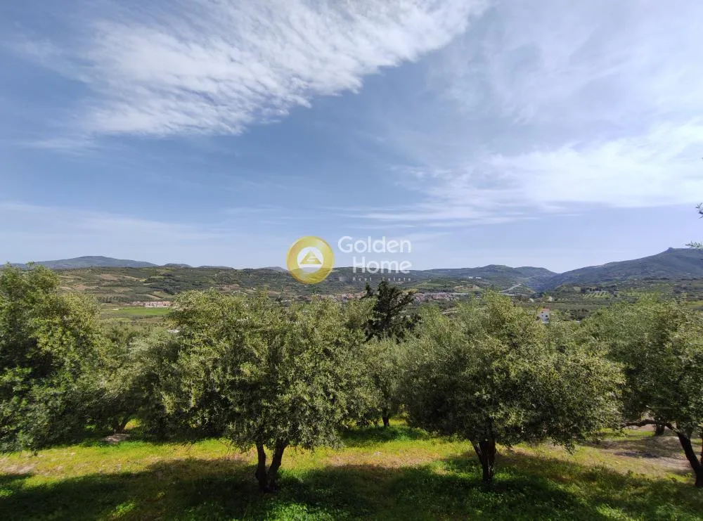Jardin - Buildable Plot with Olive Trees in Kerasia