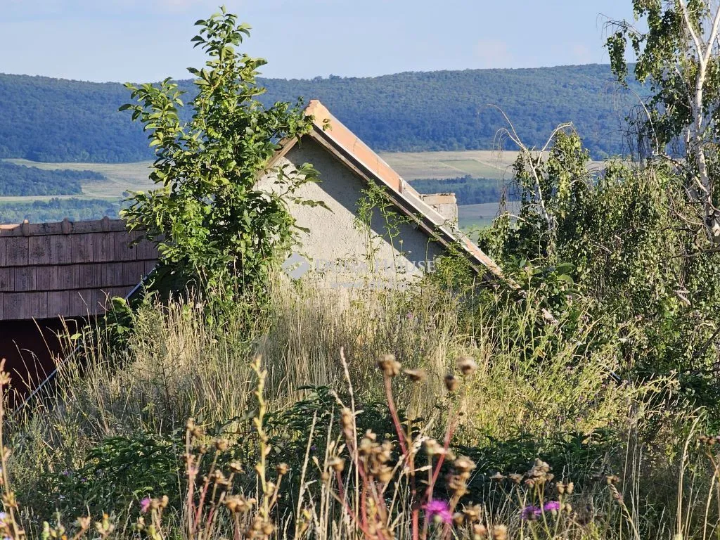 Giardino - Vineyard Plot with Panoramic View in Köveskál