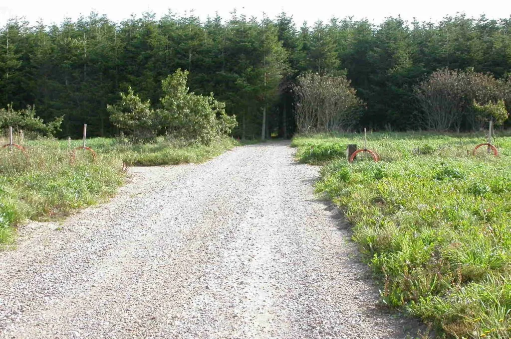 Aed - Year-Round Plot with 5G Coverage in Ringkøbing