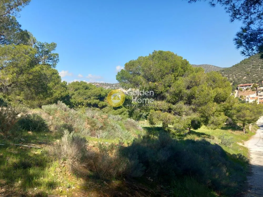 Plot with Sea View in Central Area