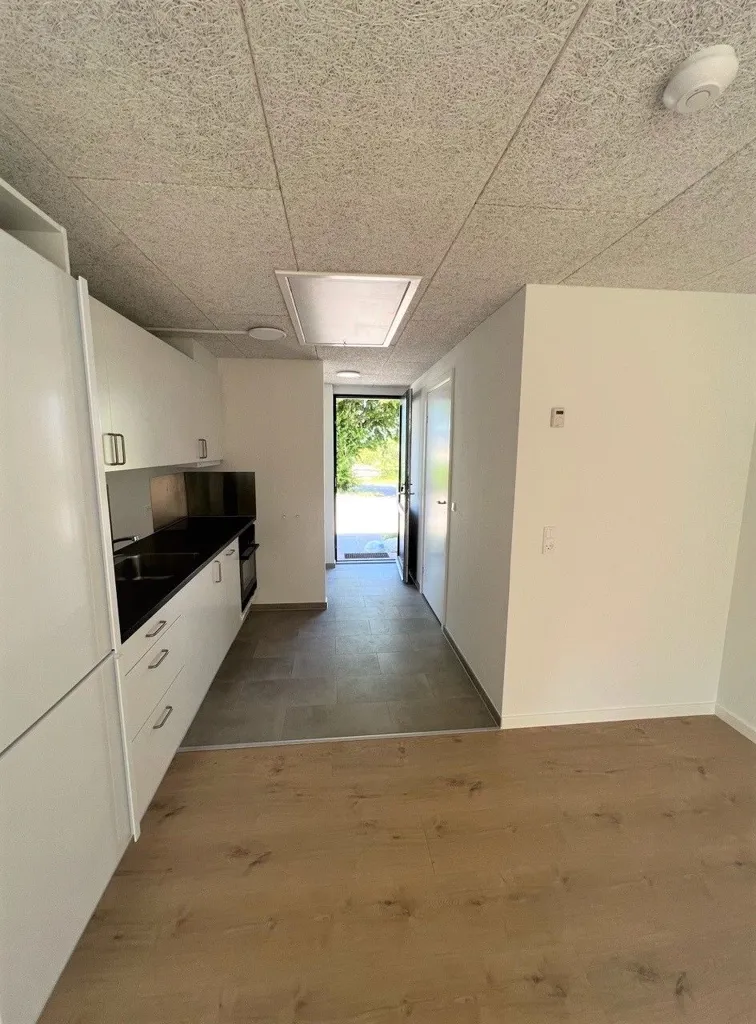 Cuisine - Modern 1-Bed Flat with Terrace in Kjellerup