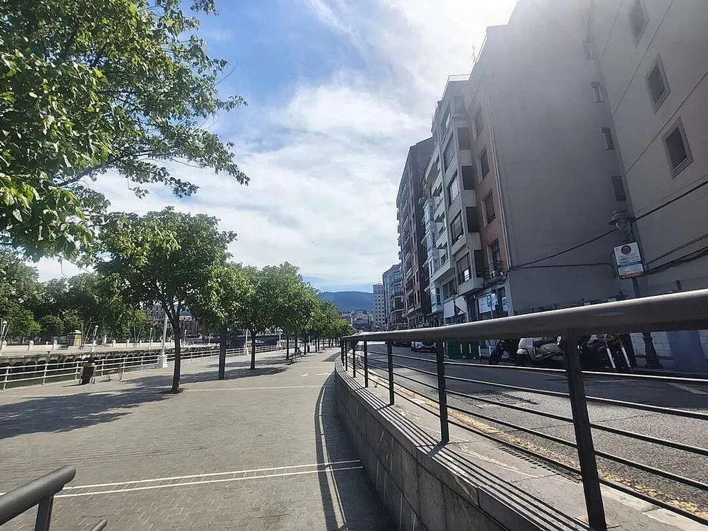 Reformed Flat with Balcony in Abando