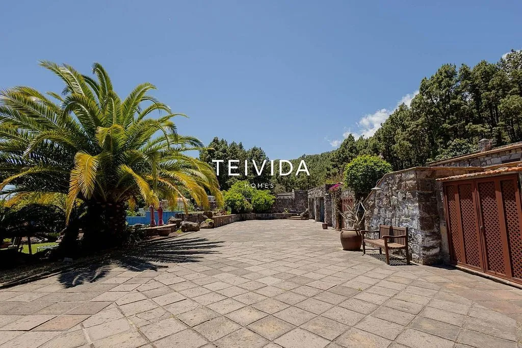 Garden - Villa with Pool and Bodega in El Rosario