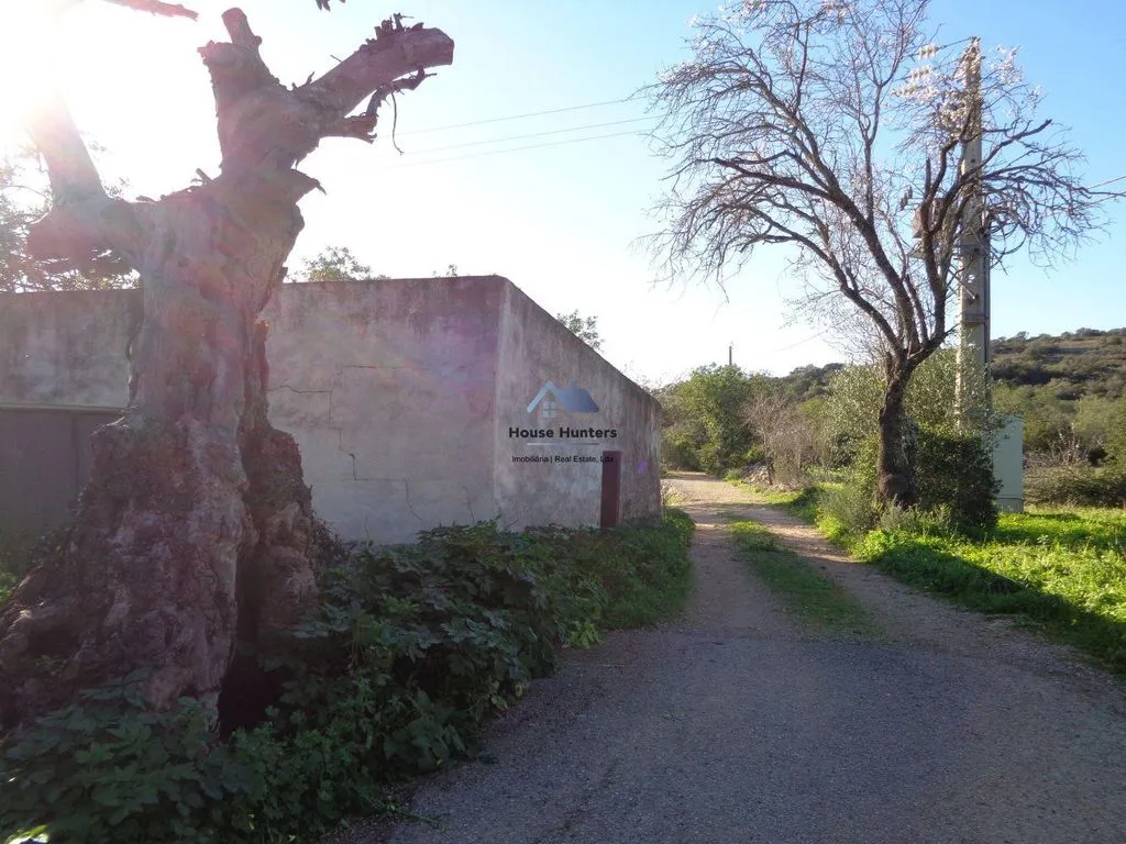 Extérieur - Luxury House with Garden in Loulé