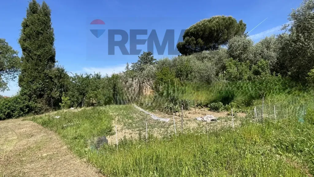 Jardin - Tuscan Hamlet with Olive Groves in Vinci