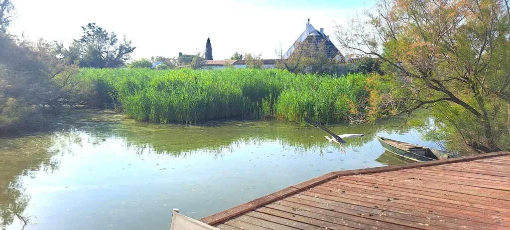 Aed - Charming Waterfront Property with Pool in Saintes Maries de la Mer