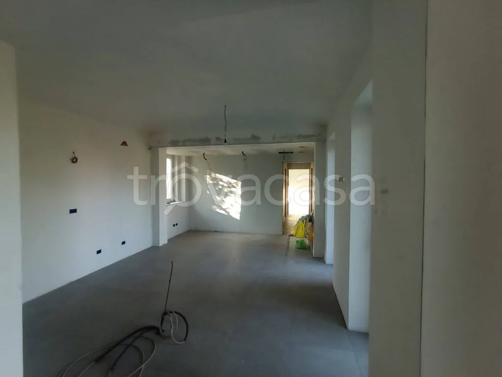 Toad - New Construction House in Nole