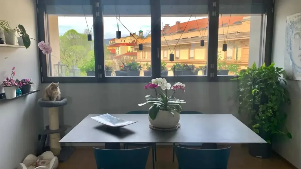Söögituba - Restored Apartment with Historic View in Ivrea