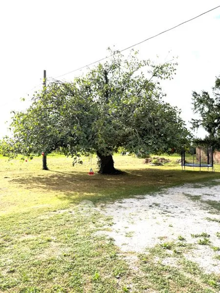 Jardin - Rural House with Potential for B&B in Fiumicello