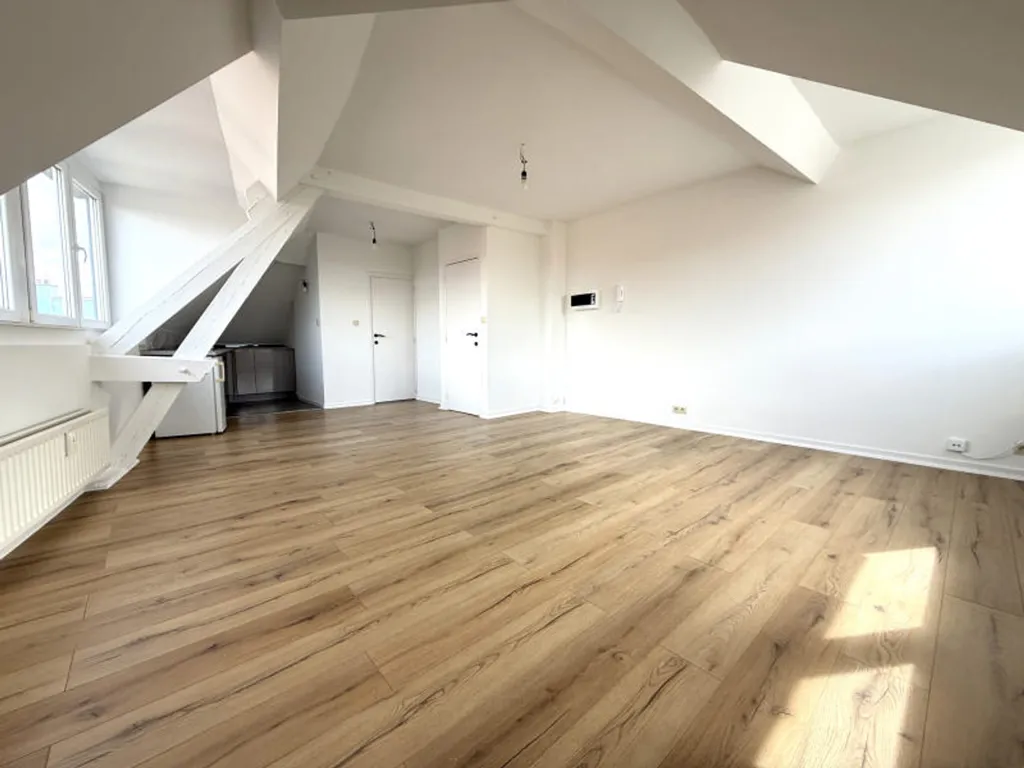 Toad - Fully Renovated Studio in Uccle