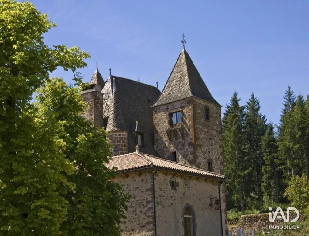 Välivaade - Historic Château with Swimming Pool near Saint-Flour