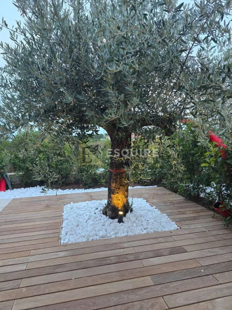 Aed - Smart Home Villa with Private Pools in Nin