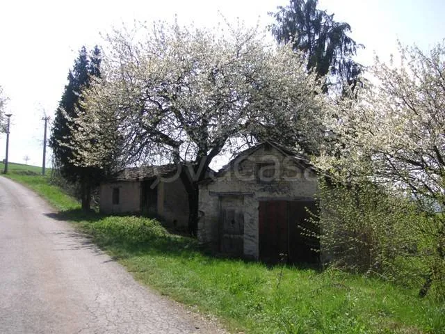 Exterior - Rustic Stone Casale with Cultivable Land in Murazzano