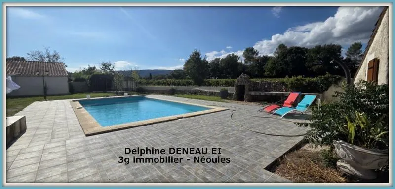 Bassein - Traditional Villa with Pool in Néoules