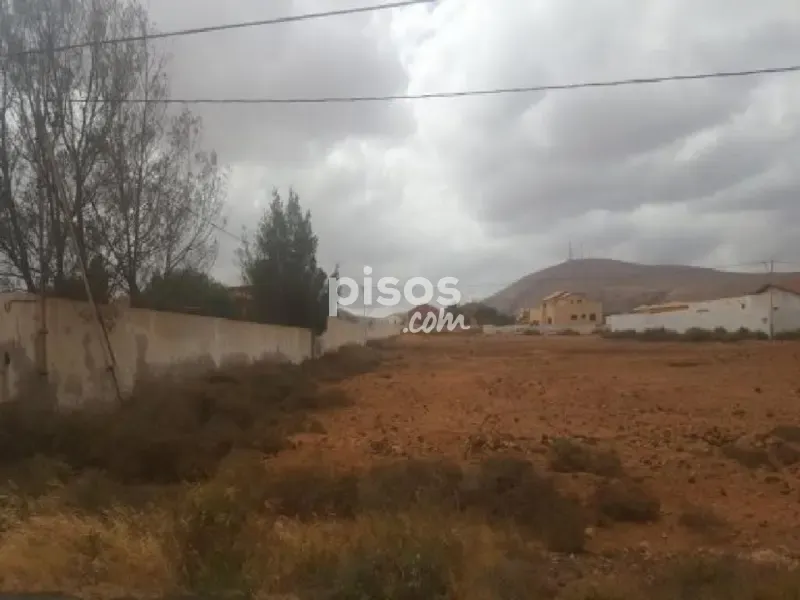 Aed - Rustic Farm Plot in Los Estancos, Fuerteventura