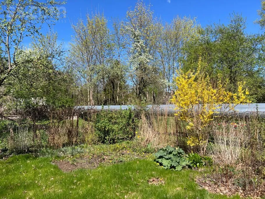 Aed - Flat with Private Garden in Šampēteris-Pleskodāle, Riga