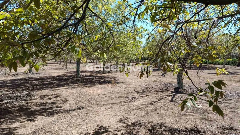 Land in GR