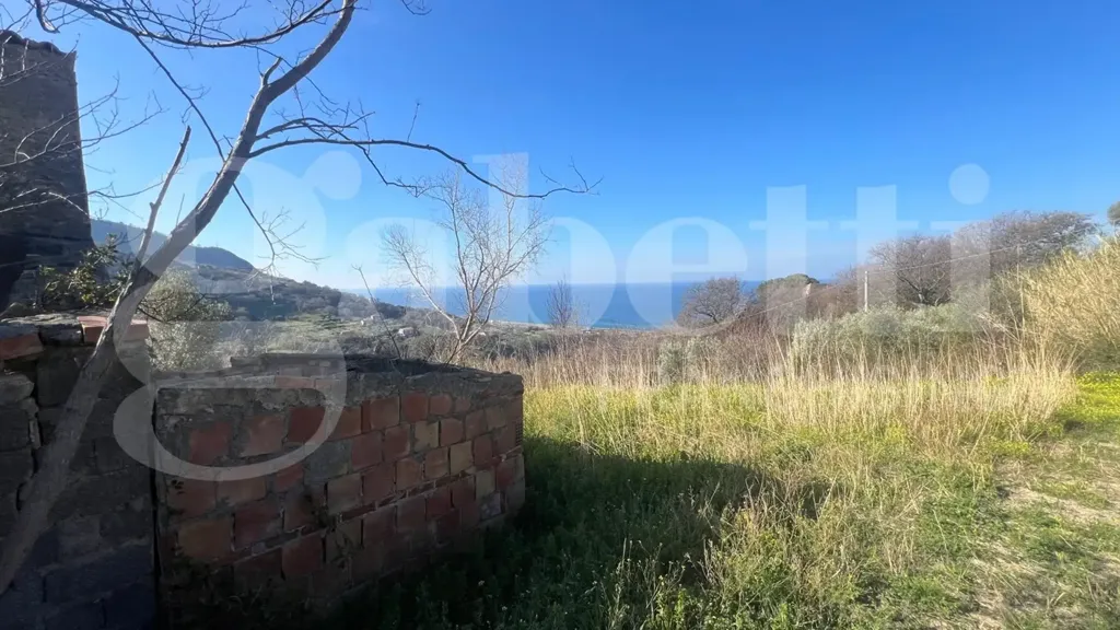 Giardino - Rustic Cielo-Terra in Falconara Albanese