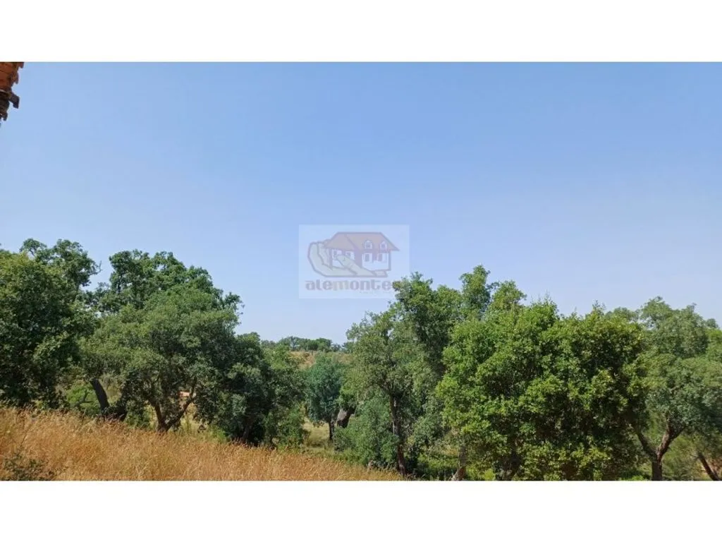 Garden - Development Land with Mountain Views in Grândola