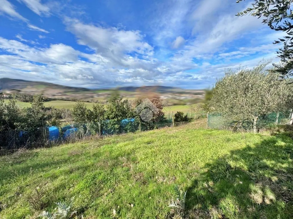 Garden - Bifamiliare Villa with Garden in Montelabbate