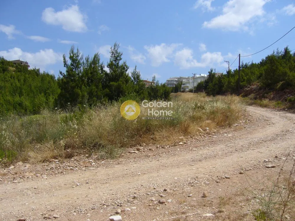 Jardin - Corner Plot House with Sea View in Diony