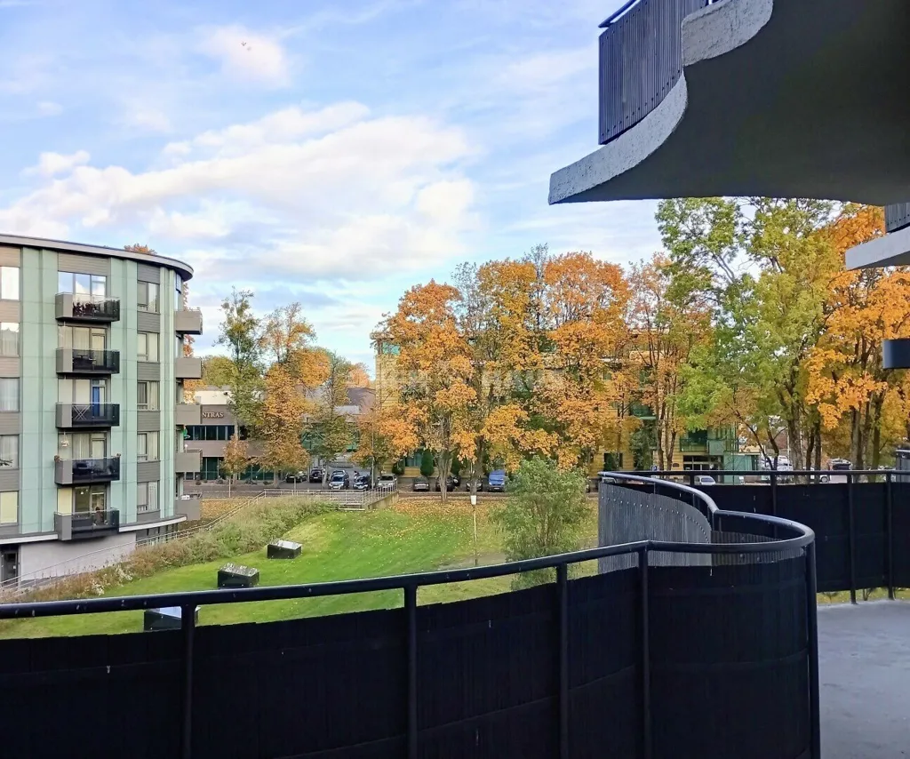 Rõdu - 3-Bedroom Apartment with High Ceilings in Druskininkai
