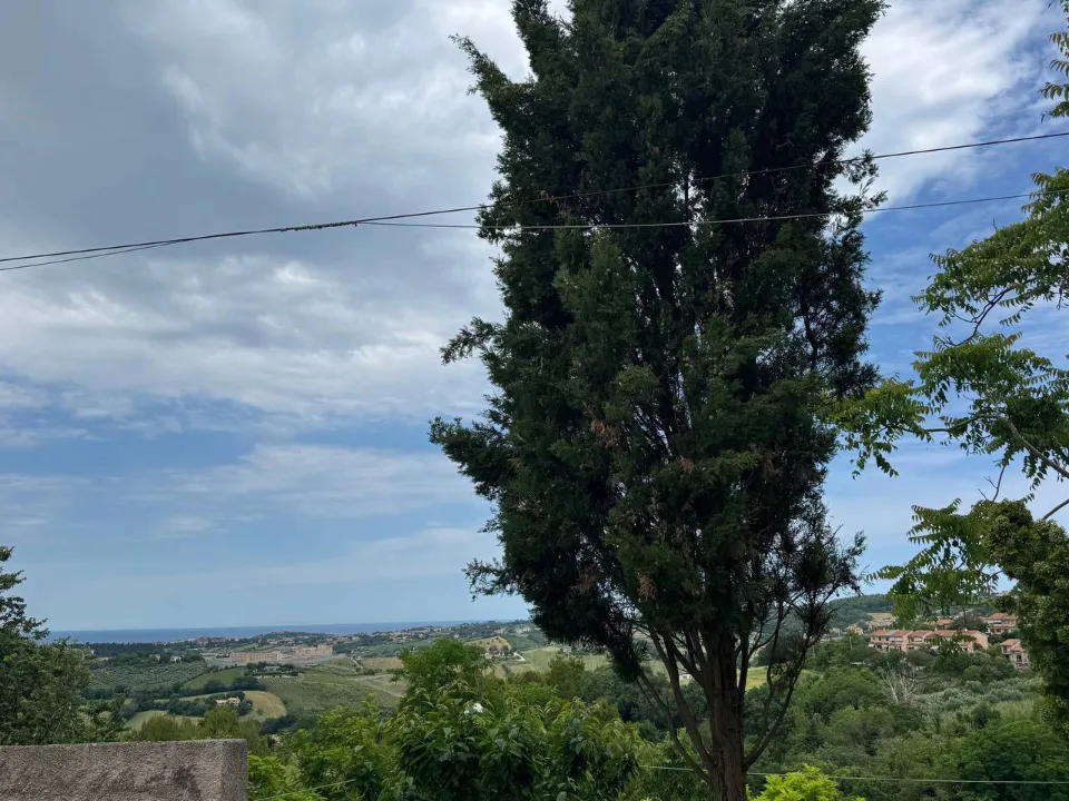 Giardino - Rustic Apartment with Sea View in Varano, Ancona