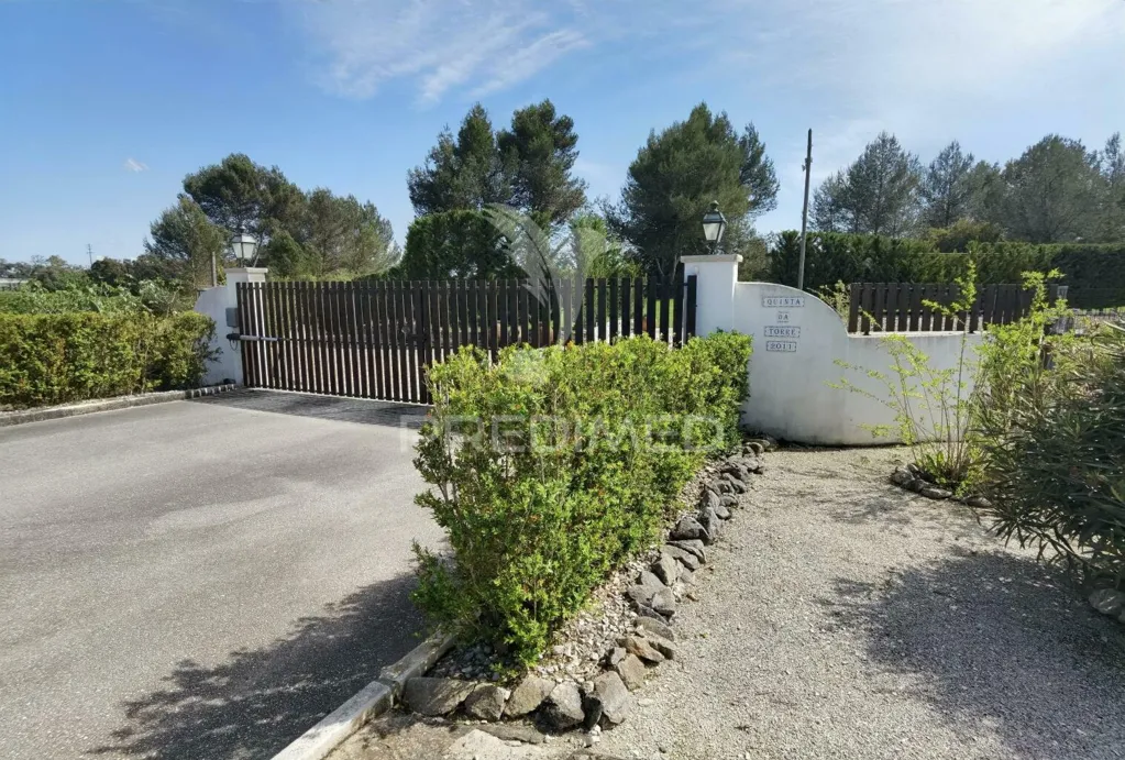 Extérieur - Quinta with Olive Grove in Torre do Bispo