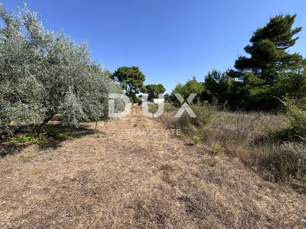 Jardin - Building Plot Near Sea in Privlaka, Zadar