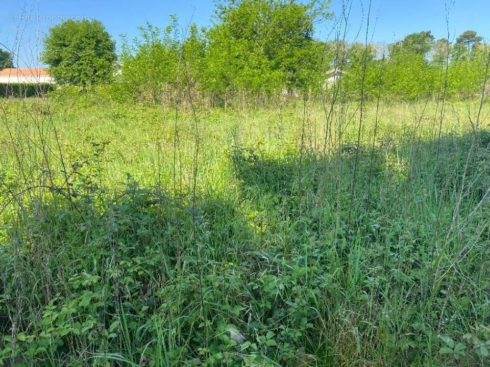 Giardino - Viabilised Plot with Garden in Biganos