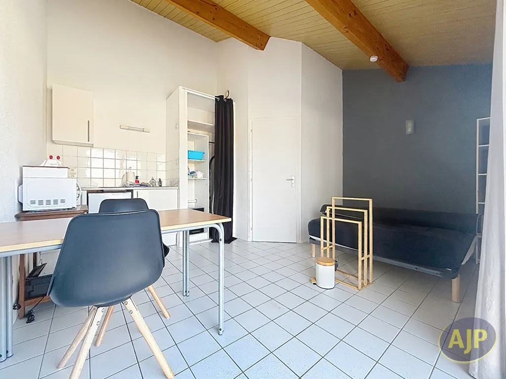 Söögituba - Studio in Quiet Area, La Roche-sur-Yon